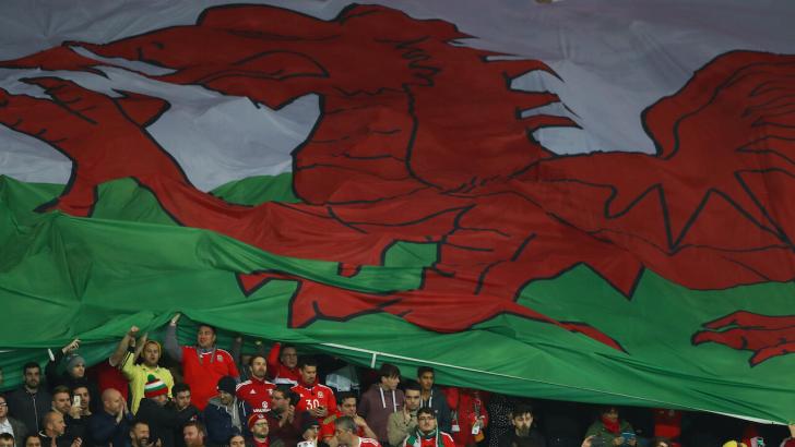 Wales football fans